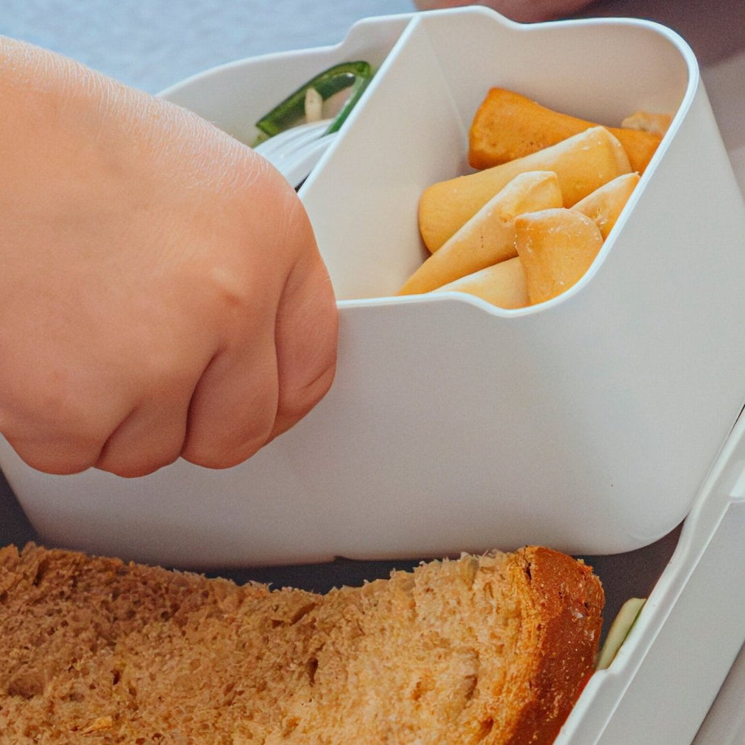 Campus Brotdose mit Bento-Einsatz und Gabel - PAW Patrol Dino Movie - BergBiber GmbH