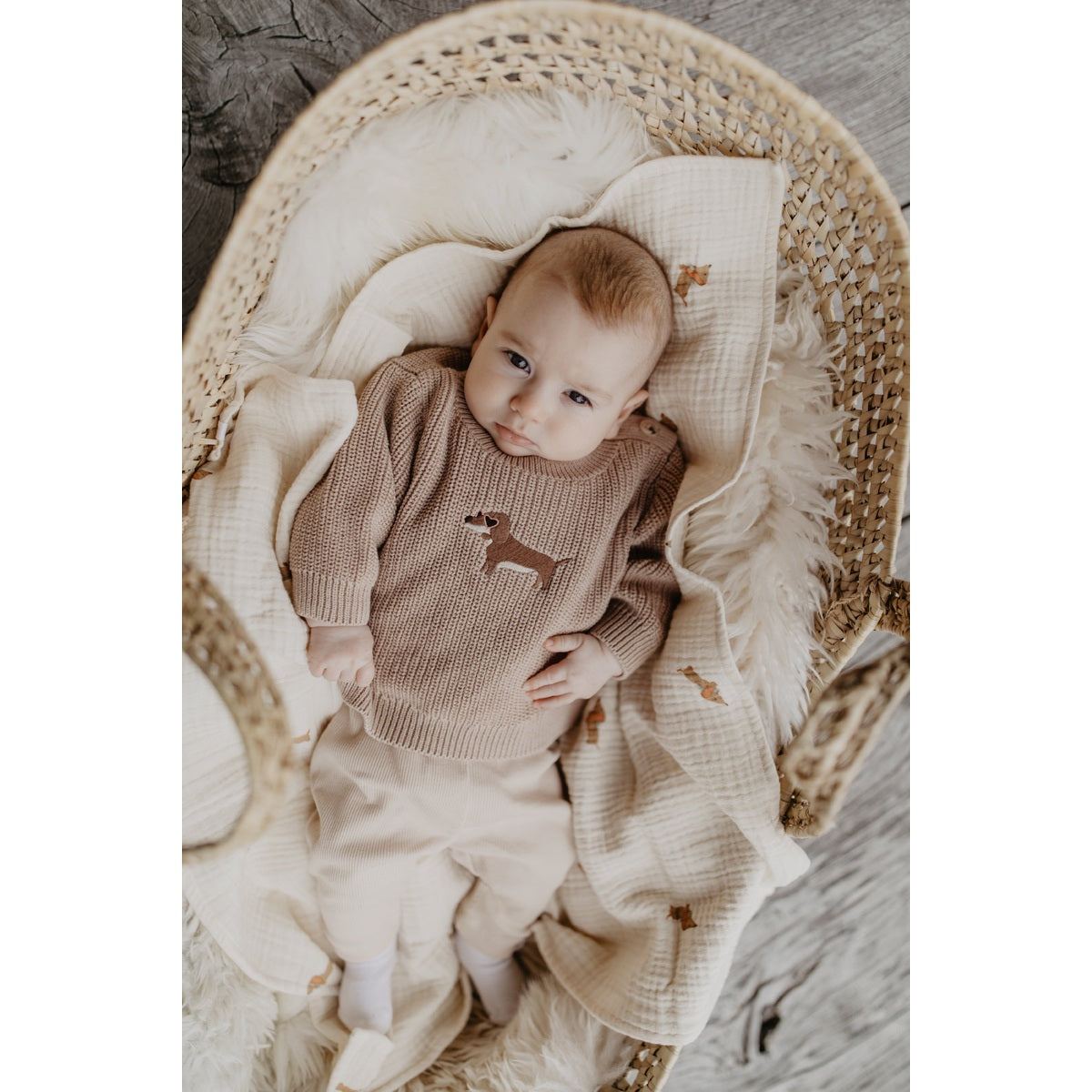 Baby Chunky-Strickpullover „Dog“ – getragen am Baby