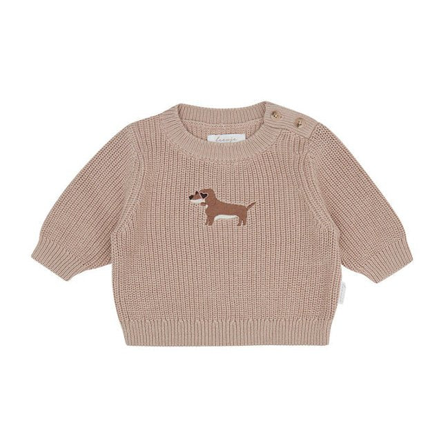 Baby Chunky-Strickpullover „Dog“ – Freisteller auf weißem Hintergrund
