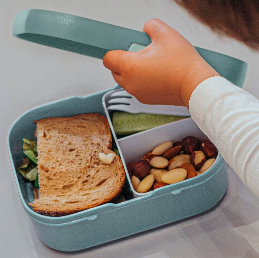 Campus Brotdose mit Bento-Einsatz und Gabel - PAW Patrol Dino Movie - BergBiber GmbH
