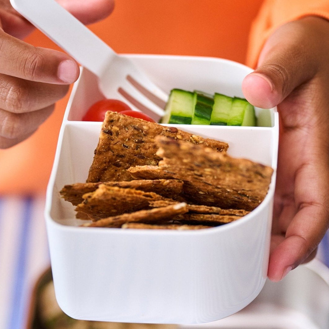 Campus Edelstahl Bento Brotdose mit Gabel - BergBiber GmbH