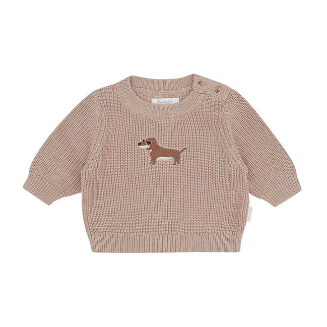 Baby Chunky-Strickpullover „Dog“ – Freisteller auf weißem Hintergrund