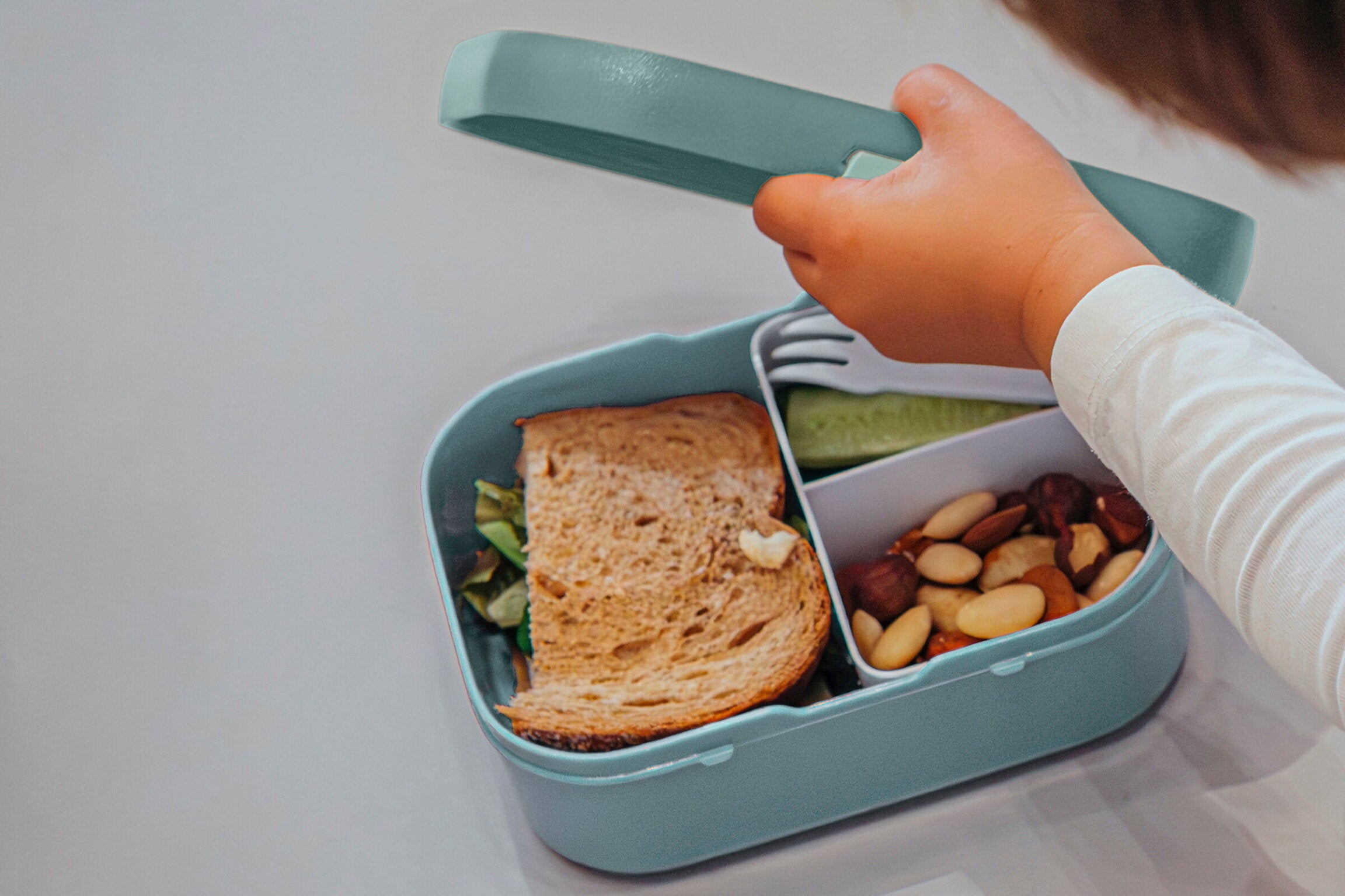 Campus Brotdose mit Bento-Einsatz und Gabel - PAW Patrol Dino Movie