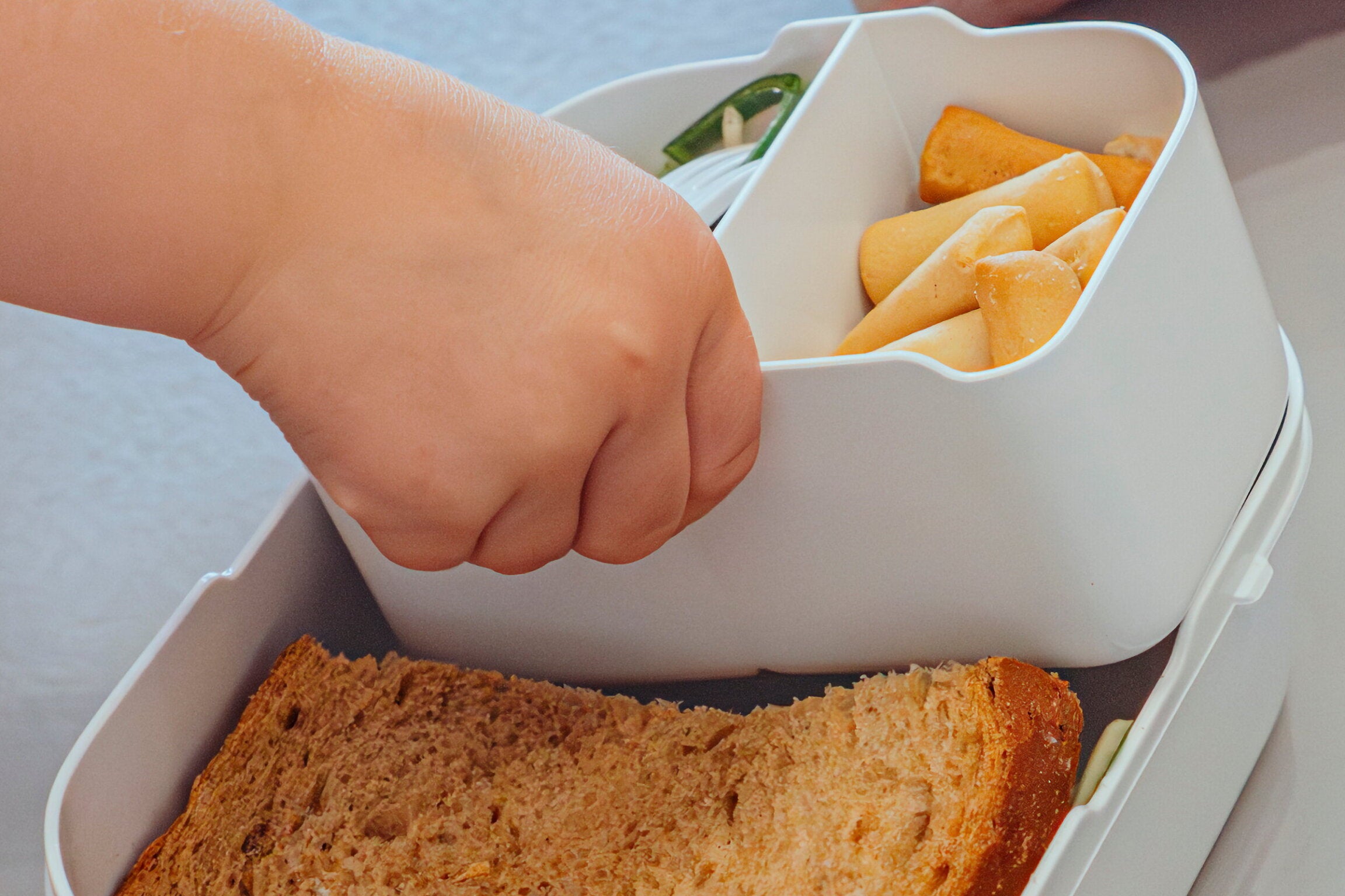 Campus Brotdose mit Bento-Einsatz und Gabel - PAW Patrol Dino Movie