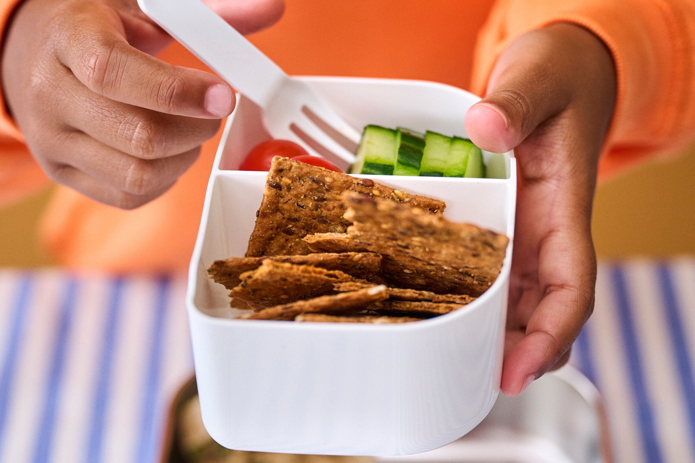 Campus Edelstahl Bento Brotdose mit Gabel